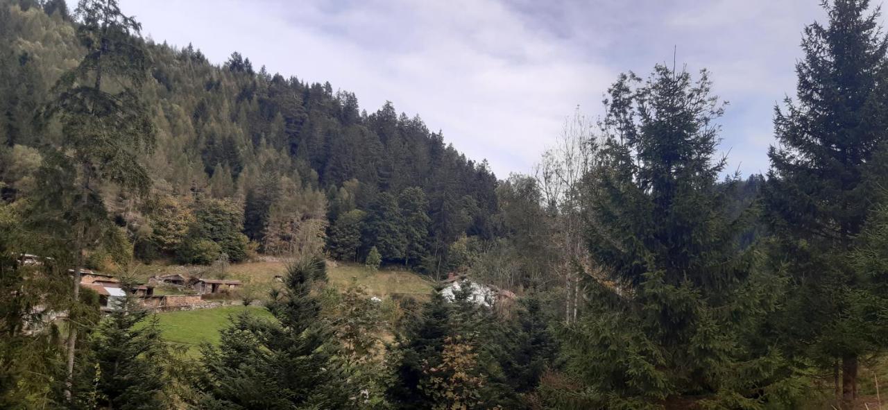 Le Montagnard Apartment Gerardmer Ngoại thất bức ảnh