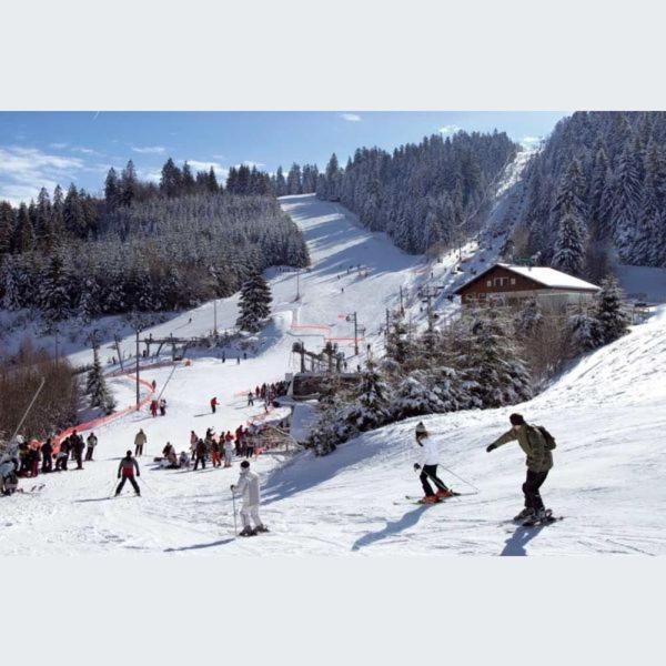 Le Montagnard Apartment Gerardmer Ngoại thất bức ảnh