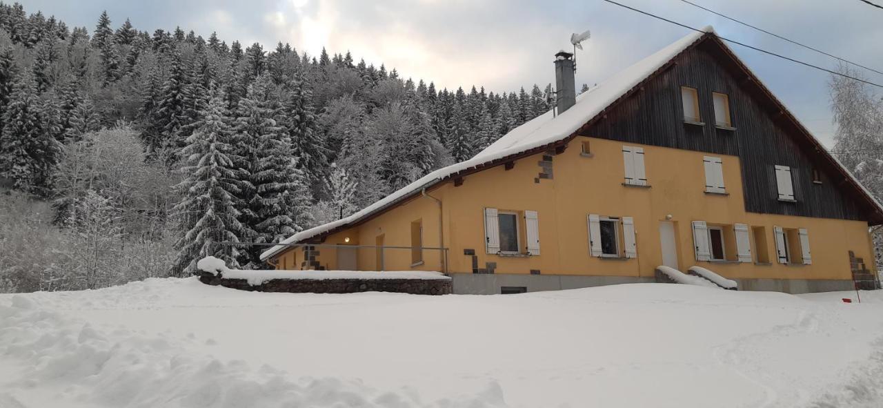Le Montagnard Apartment Gerardmer Ngoại thất bức ảnh