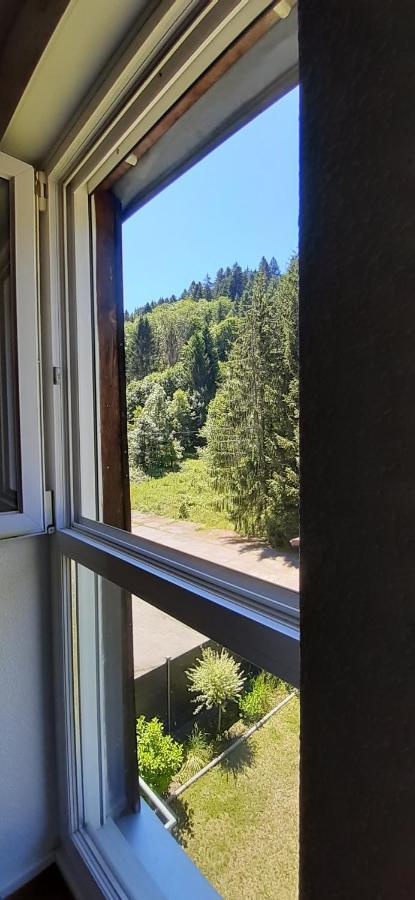 Le Montagnard Apartment Gerardmer Ngoại thất bức ảnh